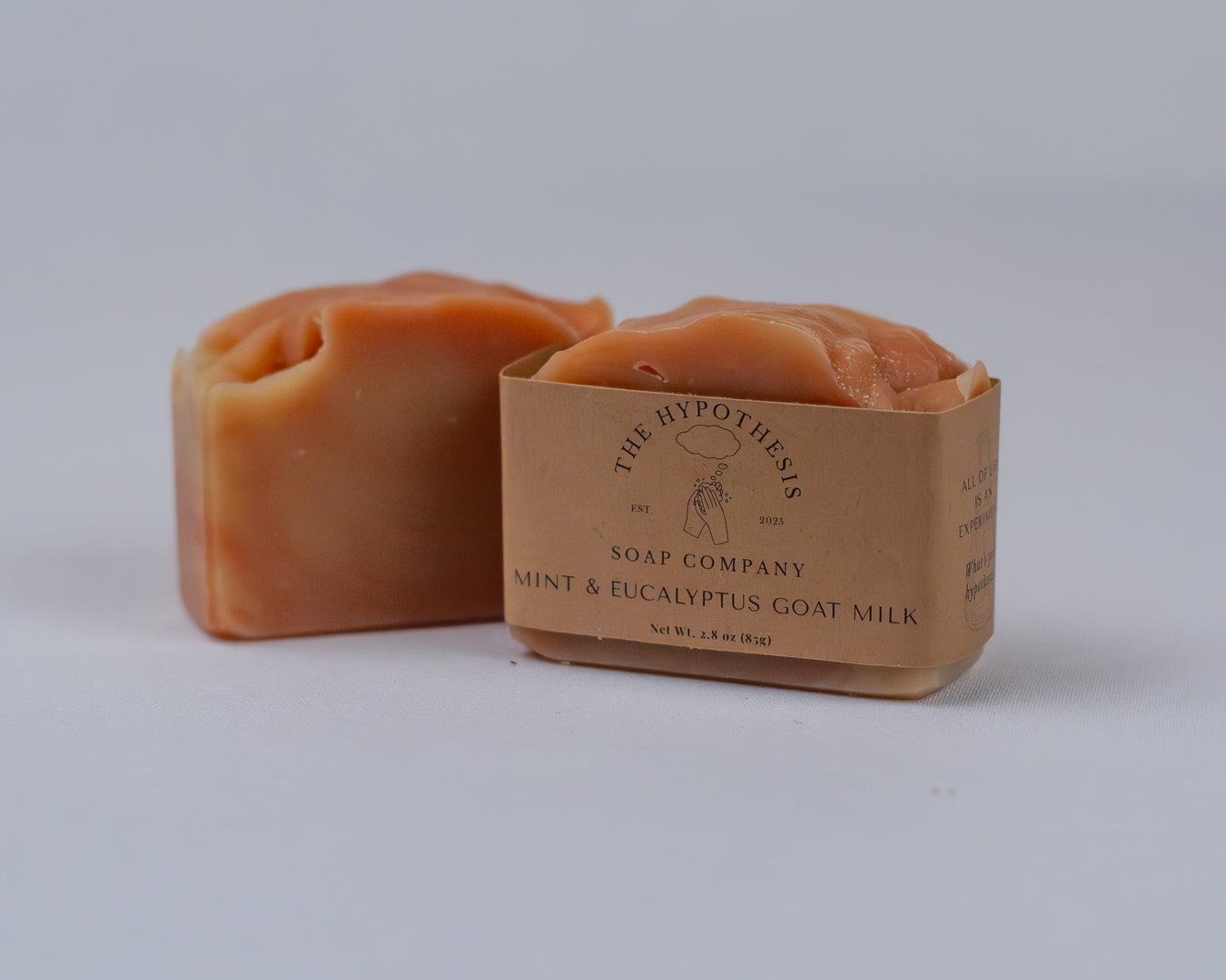 Mint & Eucalyptus Goat Milk