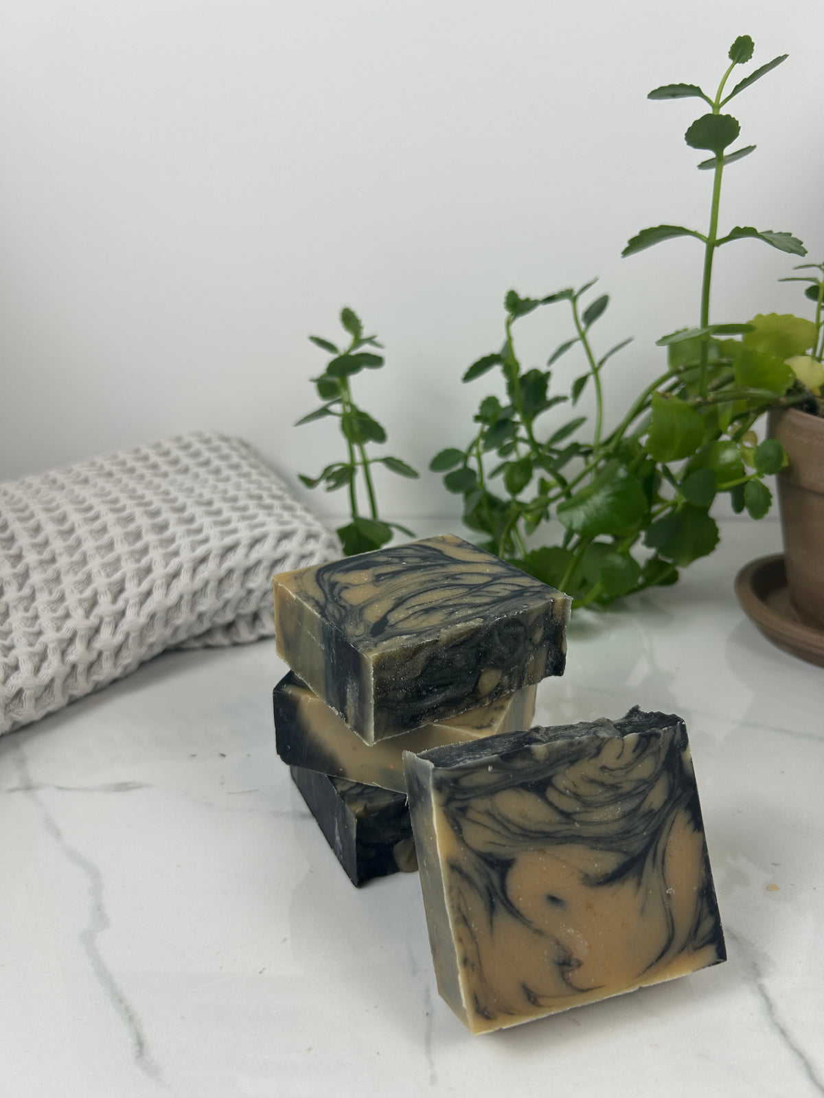Cracklin' Birch Milk Soap